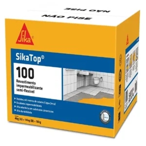 SIKA TOP 100 18kg Und. (À VISTA)